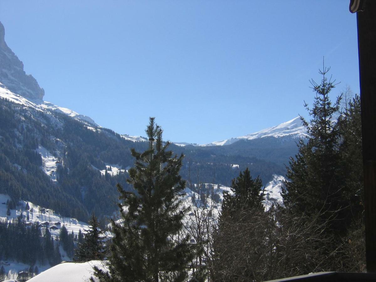 Casa Almis, Grindelwald公寓 外观 照片