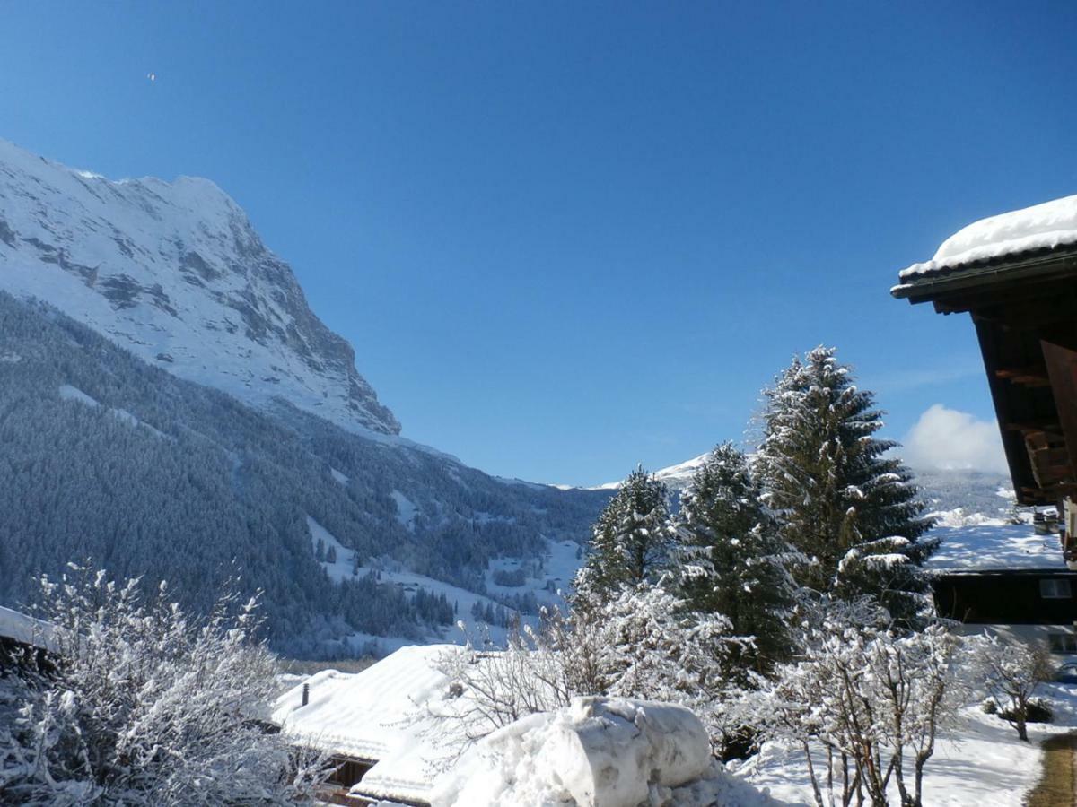 Casa Almis, Grindelwald公寓 外观 照片