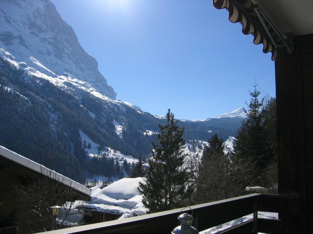 Casa Almis, Grindelwald公寓 外观 照片